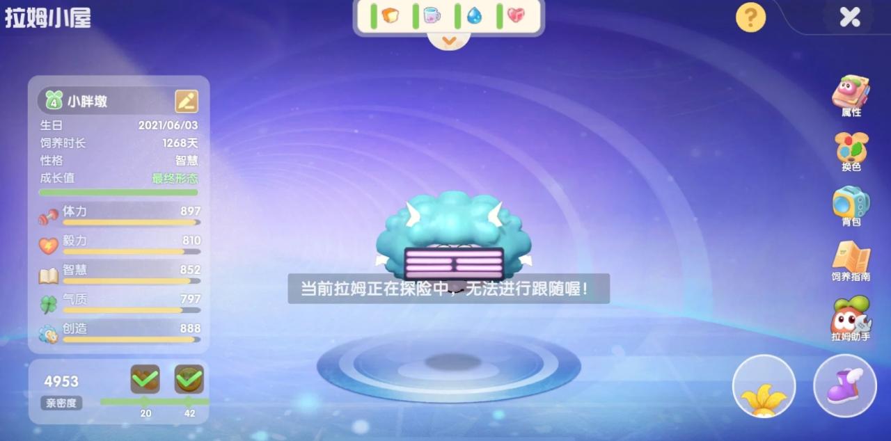 摩尔庄园潮汐漩涡探险要注意什么插图(1)