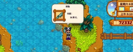 星露谷物语鲟鱼去哪钓-鲟鱼最佳钓点分享插图(3)