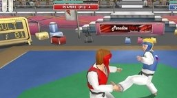 田径3夏日运动会插图