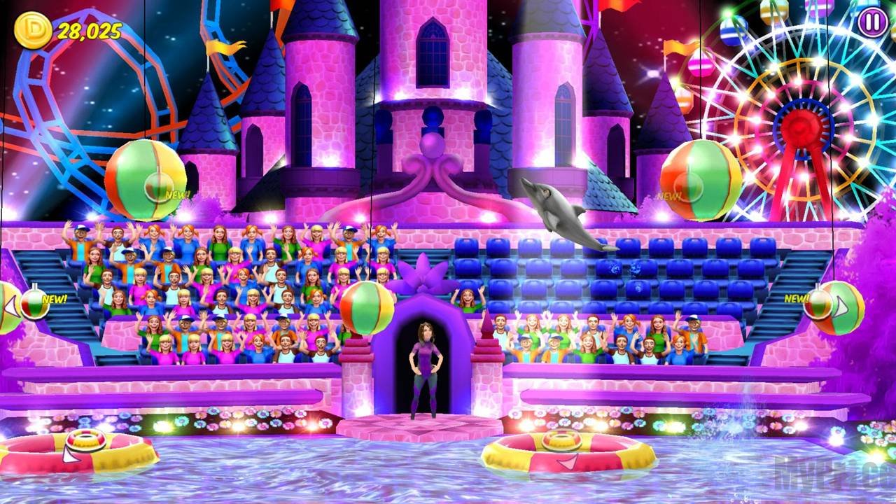 我的海豚秀插图(2)