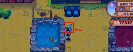 星露谷物语鲟鱼去哪钓-鲟鱼最佳钓点分享插图(4)