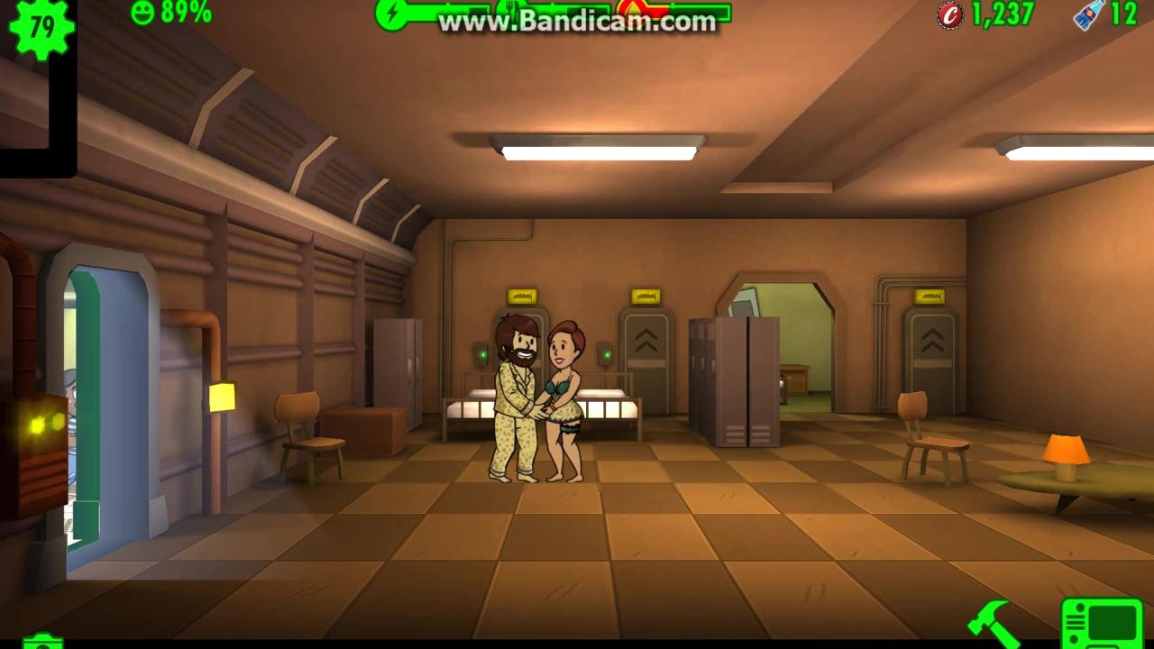 辐射避难所怎么接生一个婴儿插图(1)