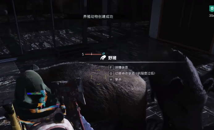 七日世界如何养殖动物