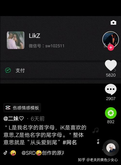 lik解释意思(lik-网名是什么意思)