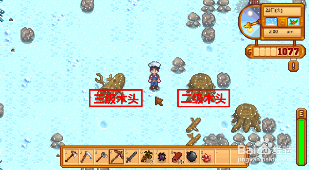 星露谷怎么才能快速获得硬木的种子(星露谷物语硬木头怎么弄)