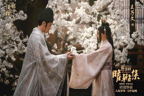 主角是牧野向晴的小说名字(晴雅集两个男主是爱情吗)