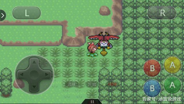 口袋妖怪绿宝石配招大全(口袋妖怪究极绿宝石5.4迷布莉姆进化)