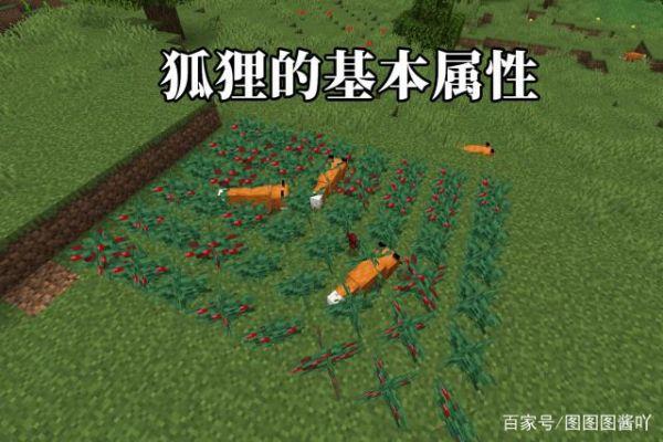 我的世界中有哪些傀儡(我的世界如何驯服狐狸当坐骑)