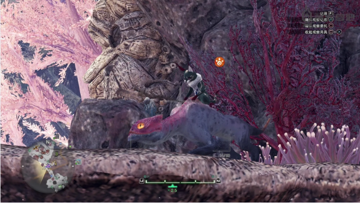 怪物猎人P2G太刀的素材如何取得(怪物猎人世界猫蜥龙任务怎么领)