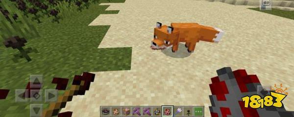 怎么驯服狐狸在我的世界(mc中的狐狸怎么驯服)