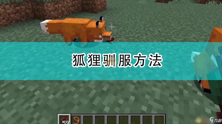 mc如何驯服雪狐(mc中的狐狸怎样驯服)