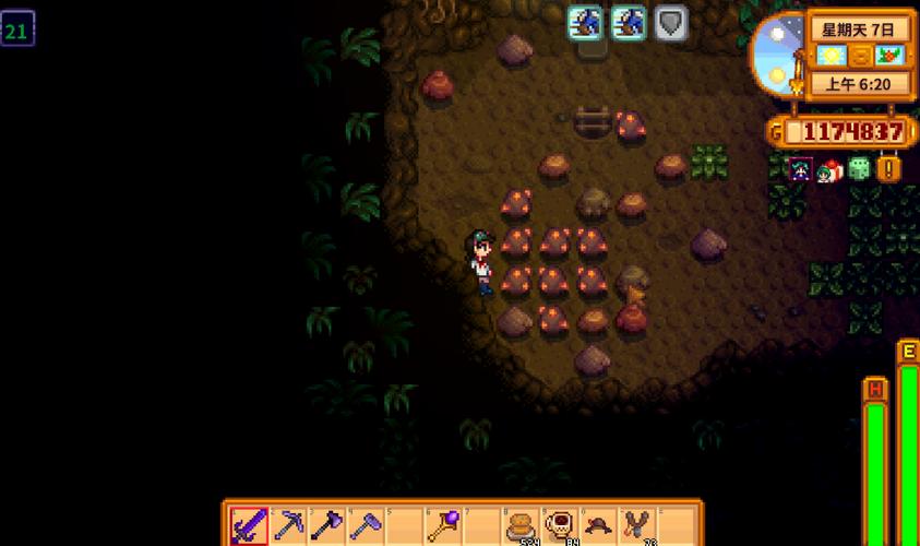 星露谷物语煤炭怎么搞(星露谷物语铜矿哪一层最多)