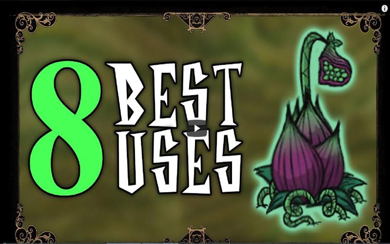 饥荒为什么会有好多猪人说拯救国王(饥荒食人花有什么用)