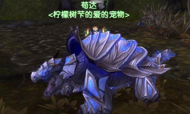 tbc10级猎人宝宝推荐(60级猎人带什么宝宝合适)