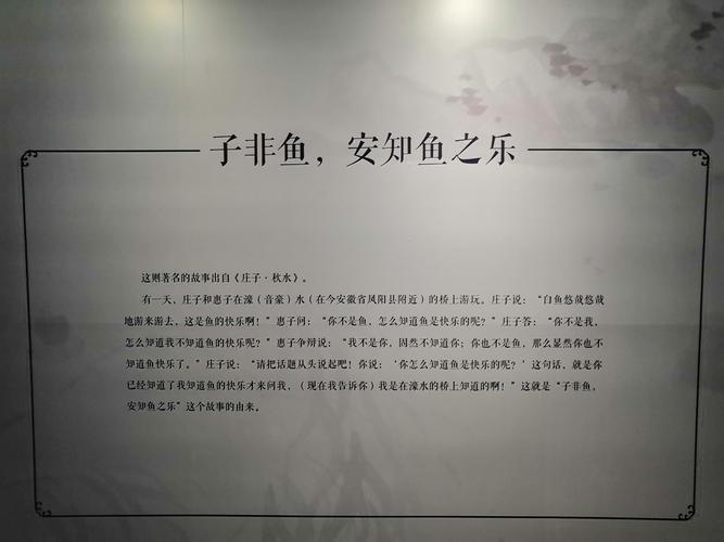 子非鱼的含义和道理(子非鱼的意思)