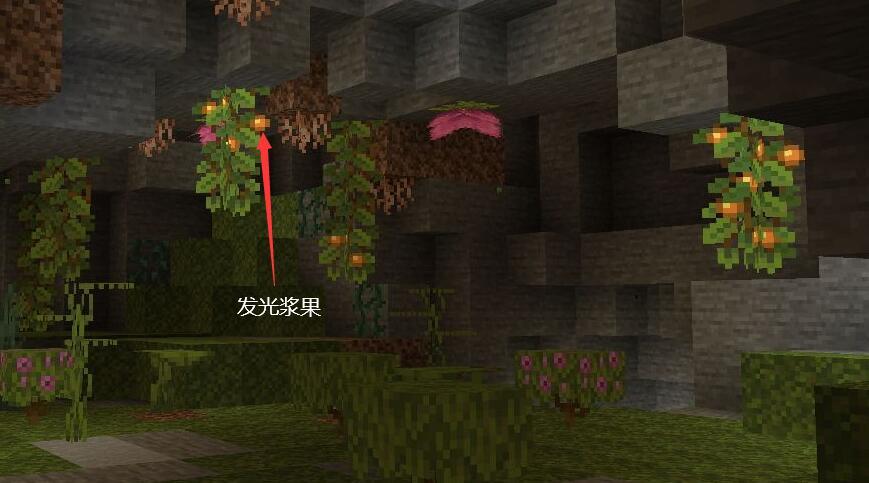 我的世界如何设置背包上限一万金币(我的世界发光浆果有什么用)