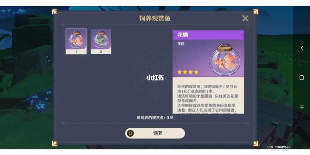 室外鱼池适合养什么鱼类(原神养鱼池怎么放鱼)