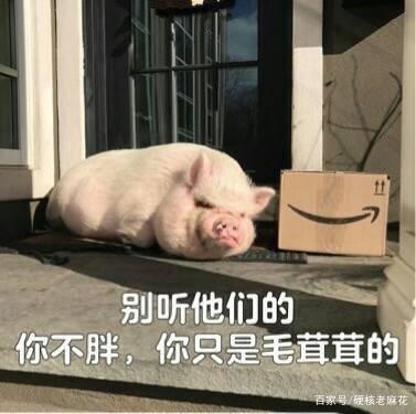 人胖怎么起外号好听(形容人胖的外号怼人)