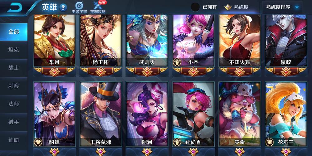 排位熟练度要求多少(王者英雄熟练度多少可以排位用)
