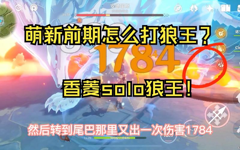 北风狼王免疫风元素伤害吗(原神狼王免疫什么伤害)