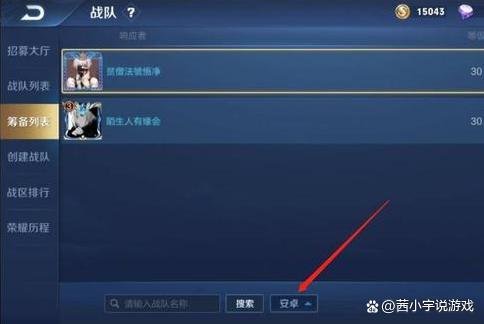 区级战队称号怎么显示局内的(王者荣耀怎么查找战队名字记录)