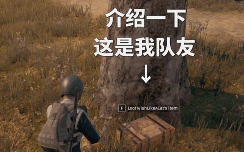 和平精英最适合女生的灵敏度(男生说吃鸡是什么意思)